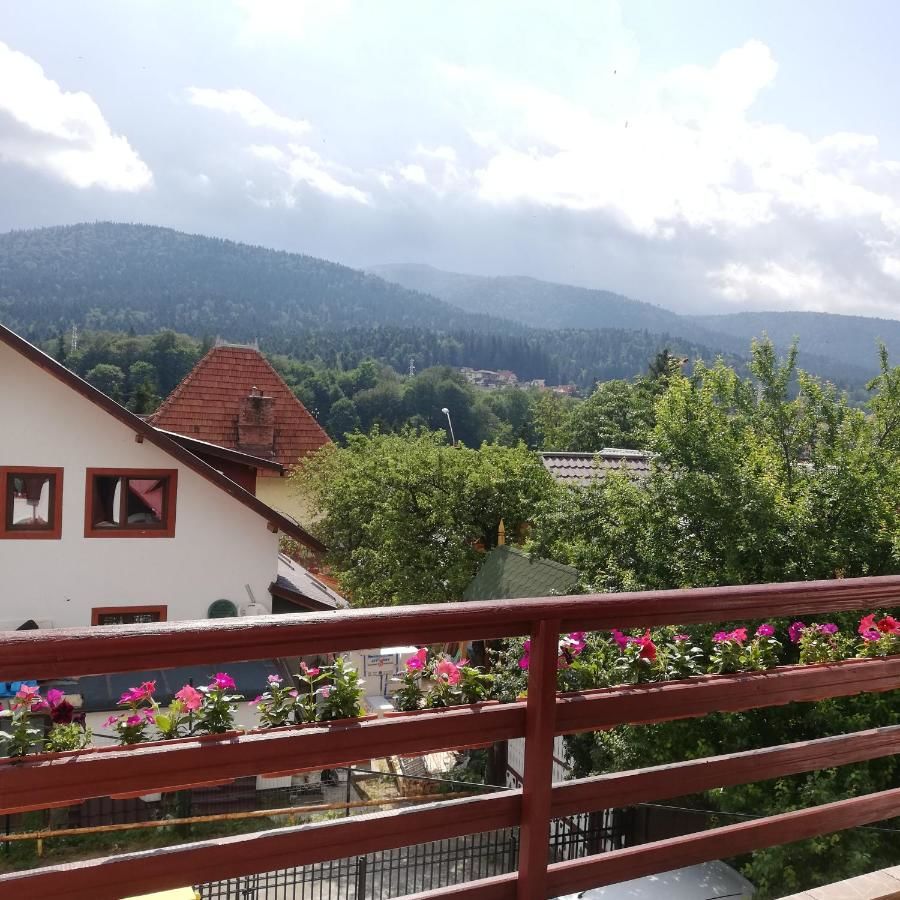Дома для отпуска Casa Vis de Munte 1 POIANA TAPULUI Буштени-24