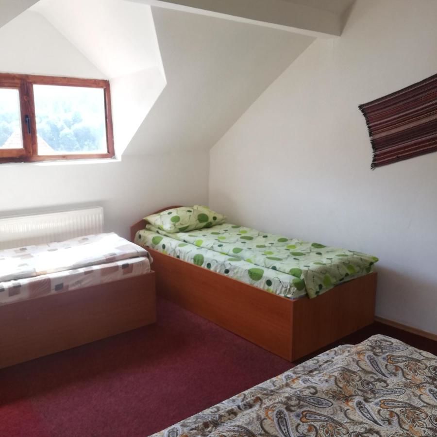 Дома для отпуска Casa Vis de Munte 1 POIANA TAPULUI Буштени-25