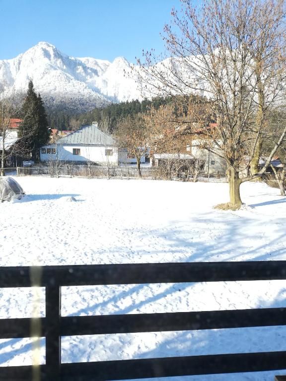 Дома для отпуска Casa Vis de Munte 1 POIANA TAPULUI Буштени-47