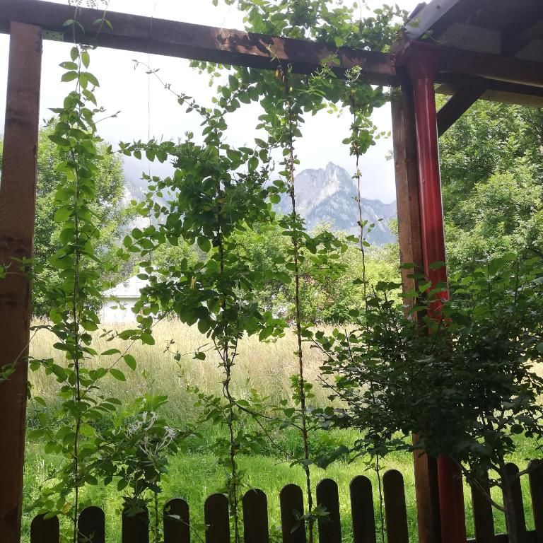 Дома для отпуска Casa Vis de Munte 1 POIANA TAPULUI Буштени-57