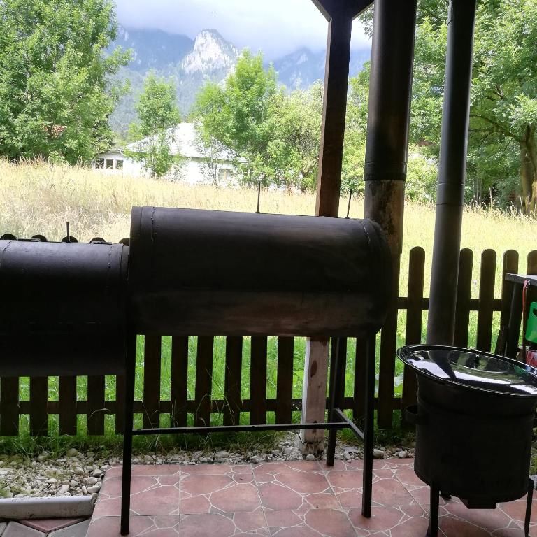 Дома для отпуска Casa Vis de Munte 1 POIANA TAPULUI Буштени-58