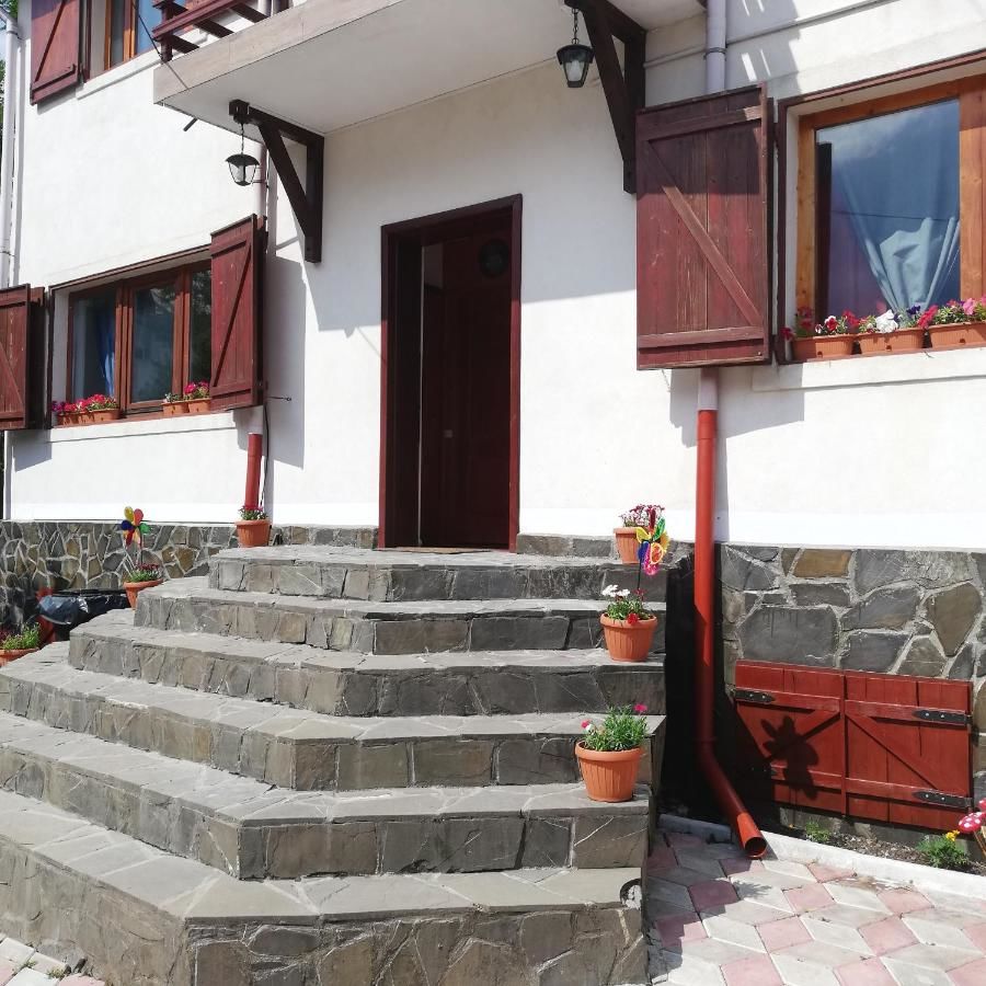 Дома для отпуска Casa Vis de Munte 1 POIANA TAPULUI Буштени-10
